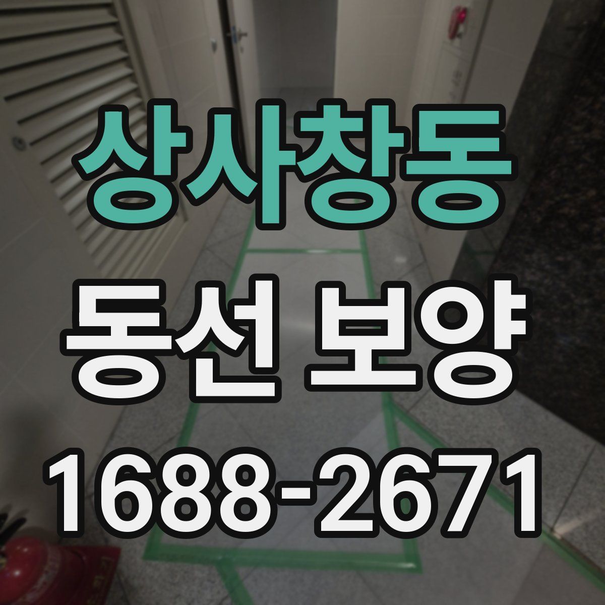 상사창동 동선 보양