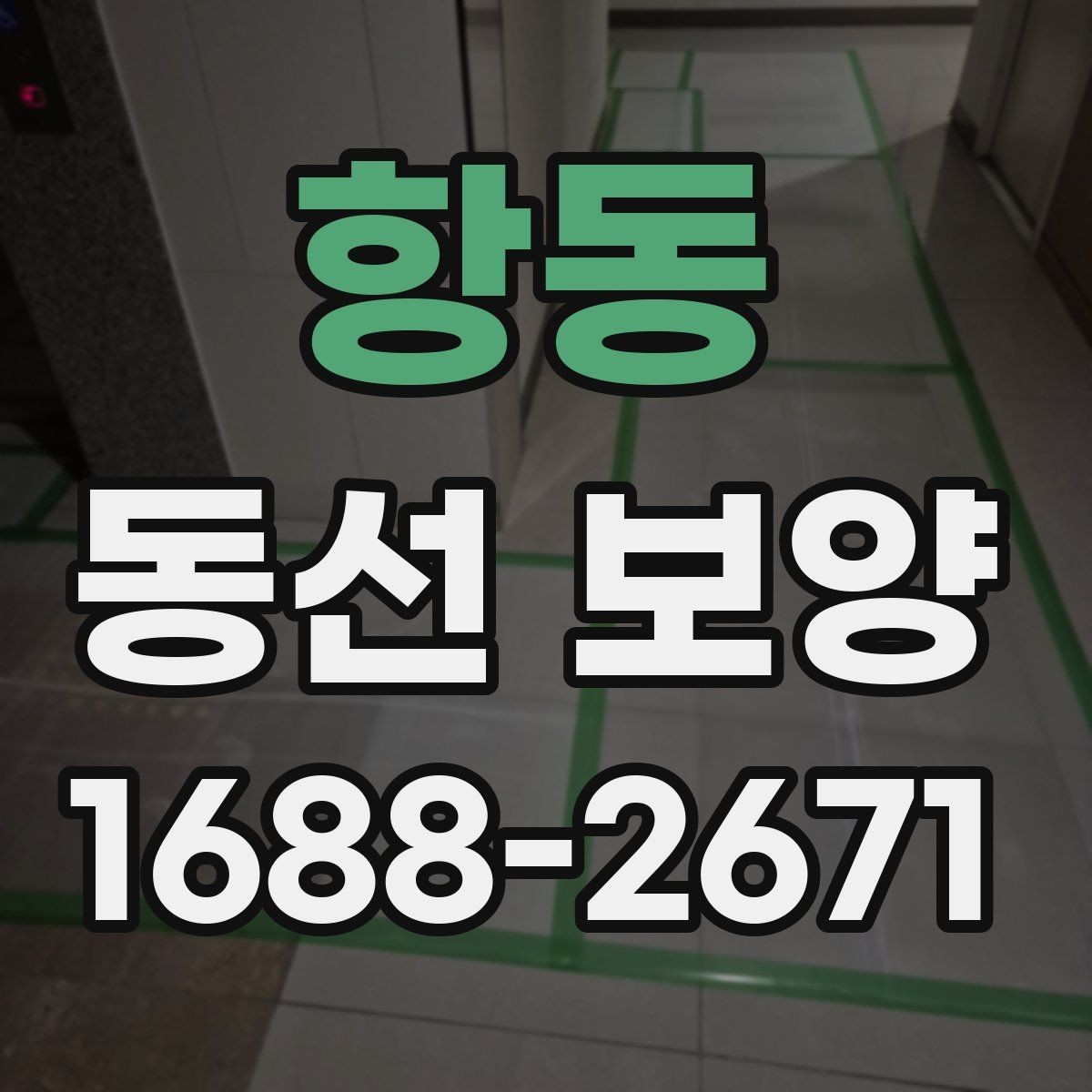 항동 동선 보양 비용과 범위가 달라지는 상황