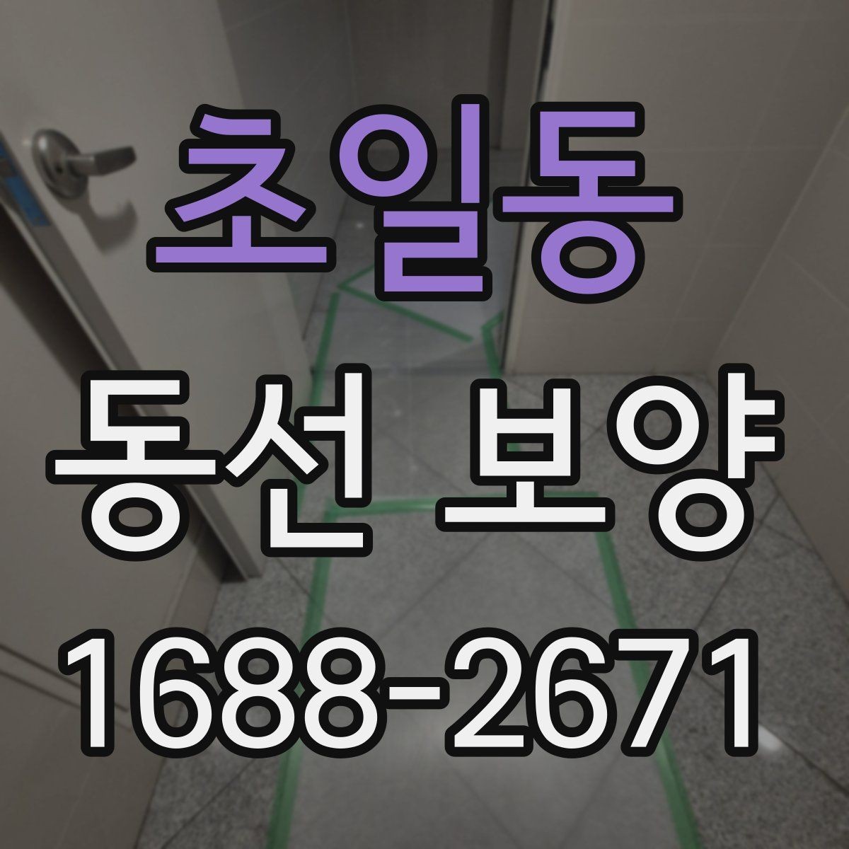 초일동 동선 보양 일정 잡을 때 참고할 내용