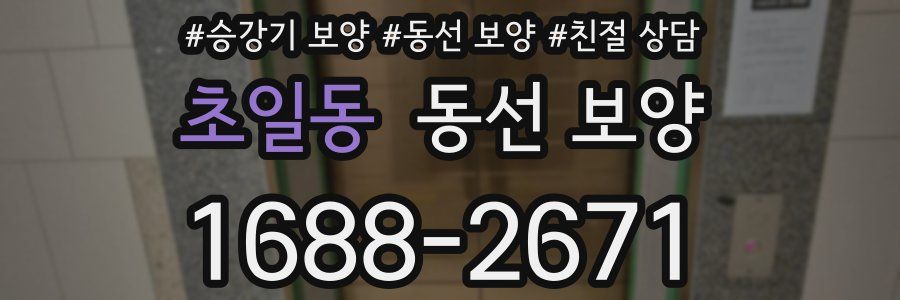 초일동 동선 보양