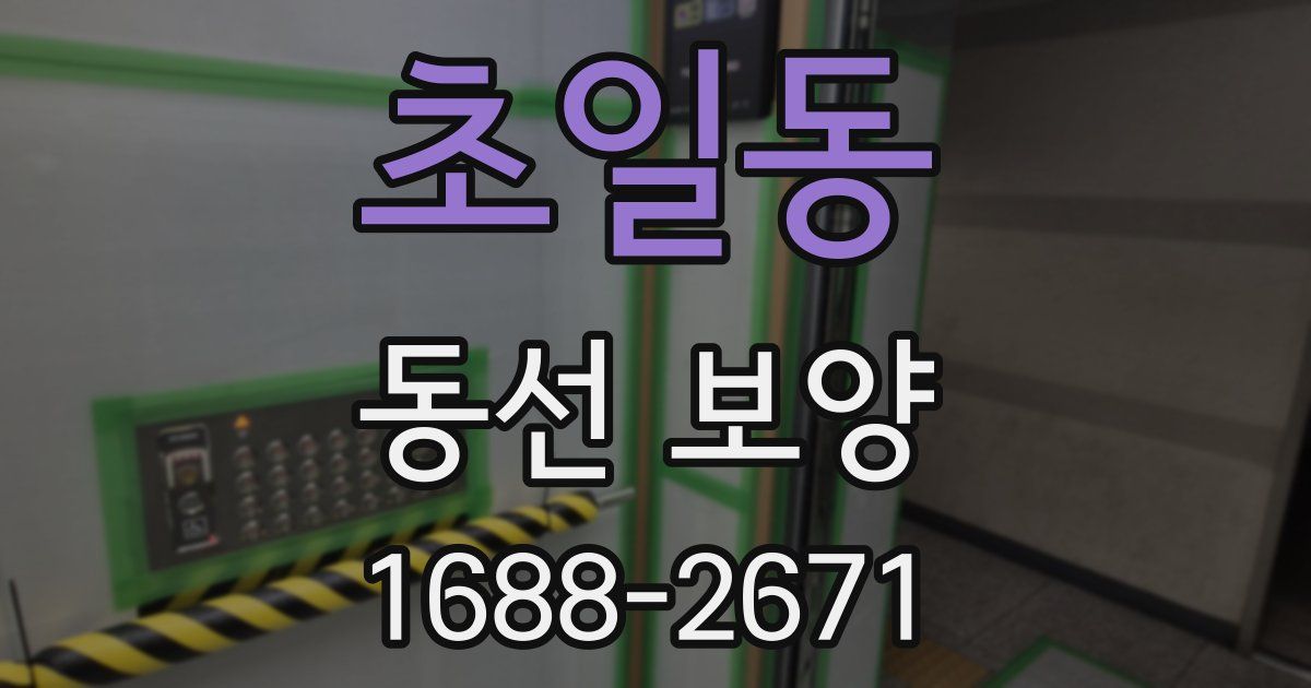 초일동 동선 보양
