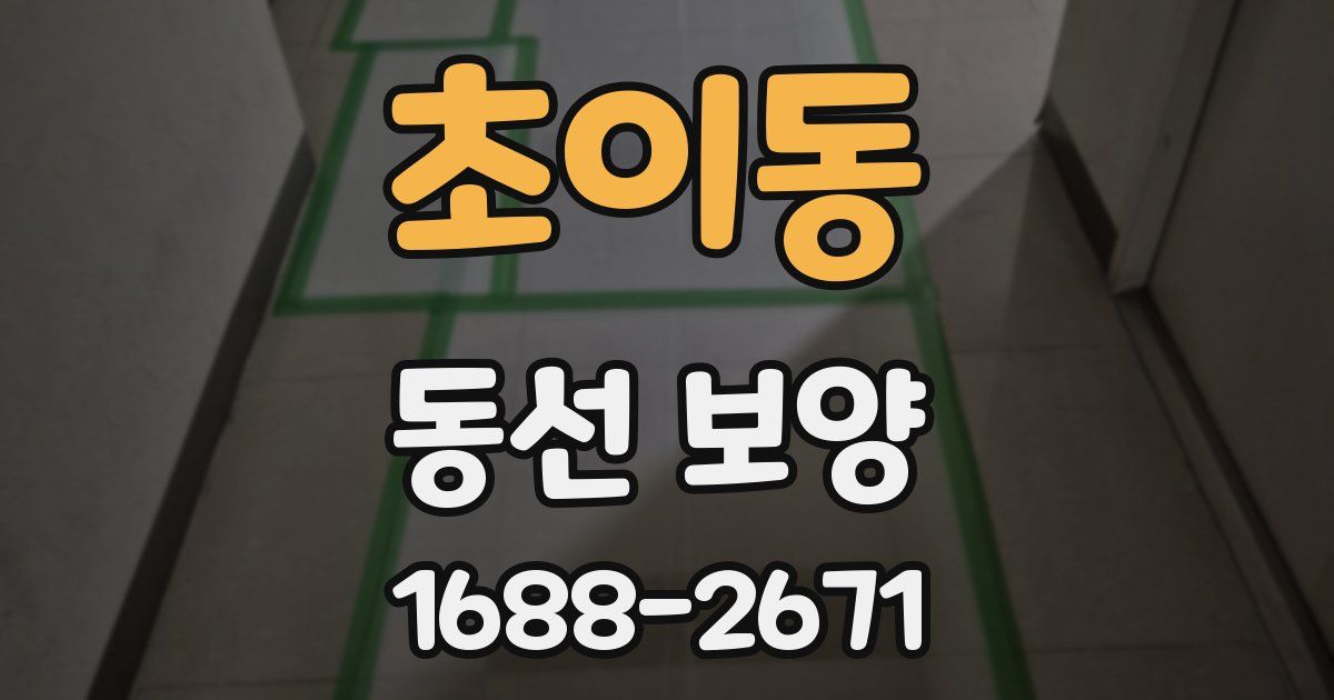 초이동 동선 보양