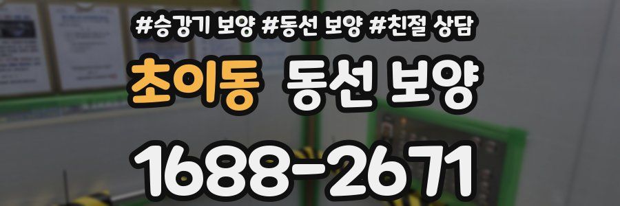 초이동 동선 보양