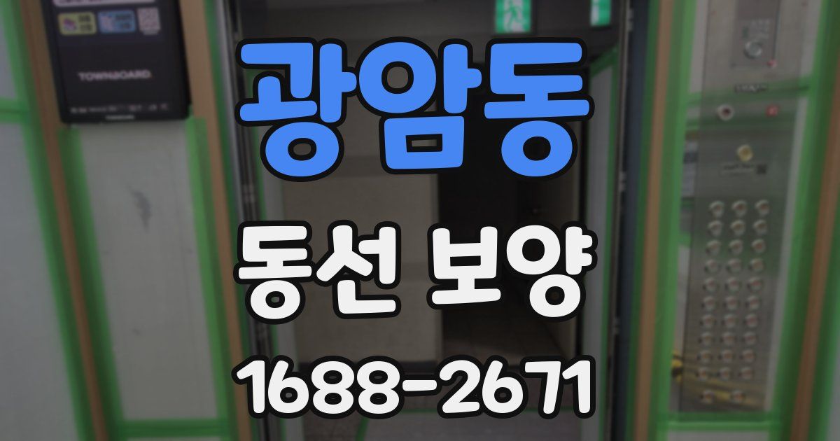 광암동 동선 보양