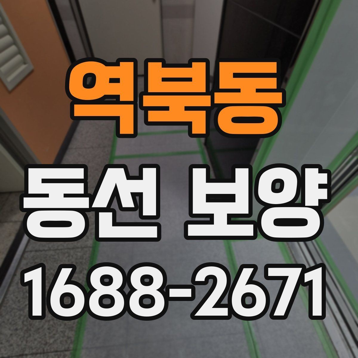 역북동 동선 보양 업체 상담 전에 알아두면 좋은 점