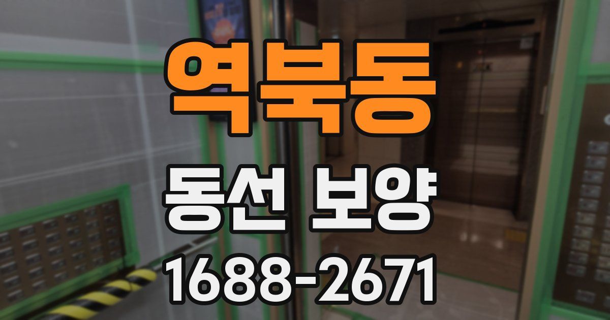 역북동 동선 보양