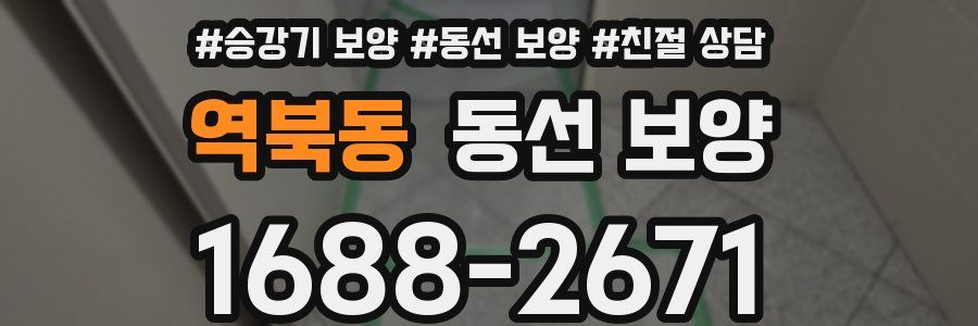 역북동 동선 보양