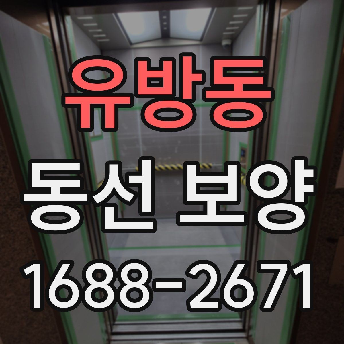 유방동 동선 보양 작업을 안전하게 진행하는 방법