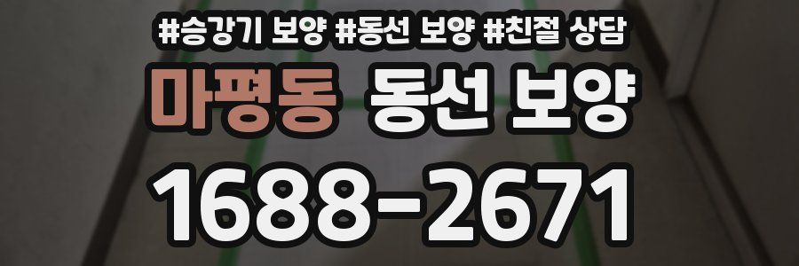 마평동 동선 보양