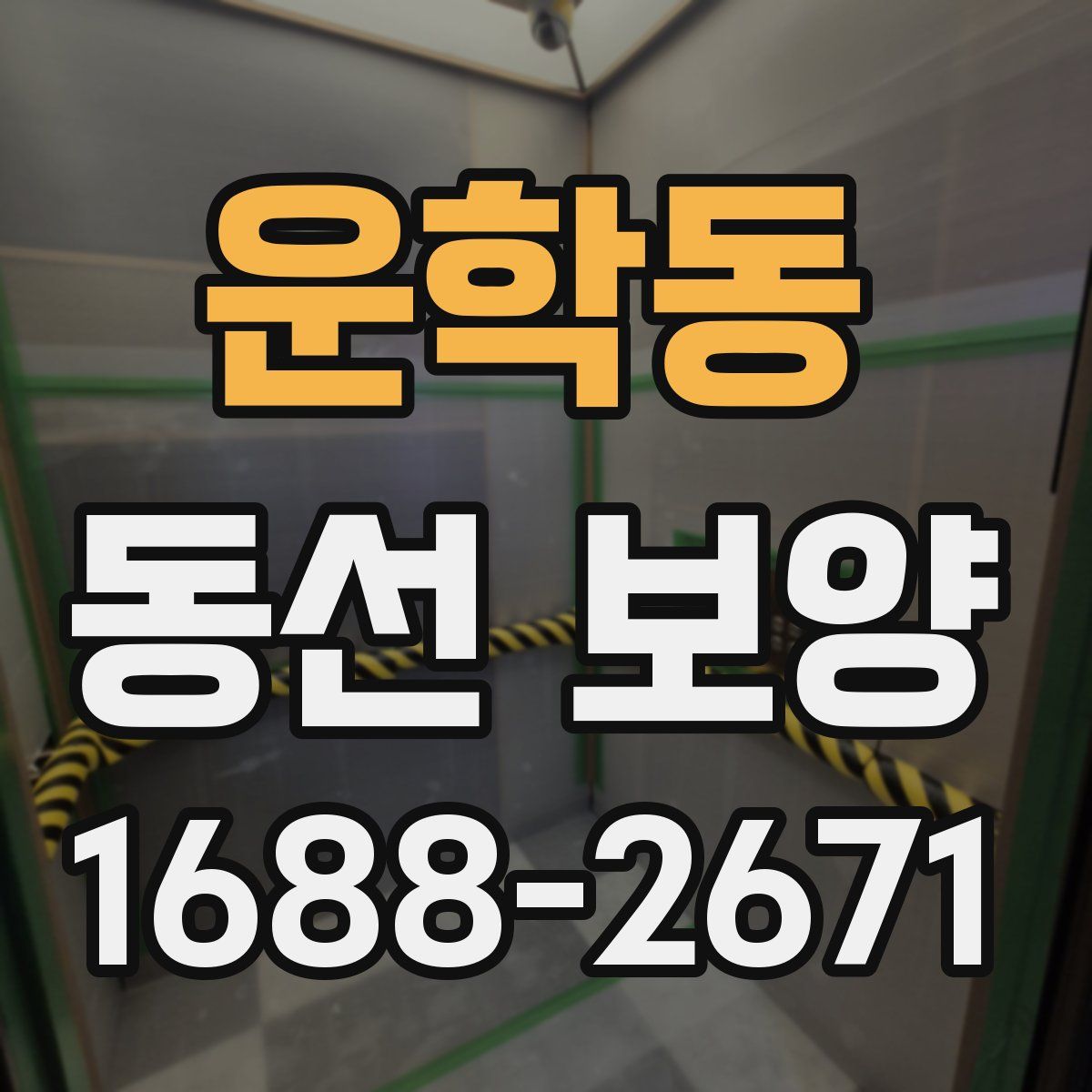 운학동 동선 보양