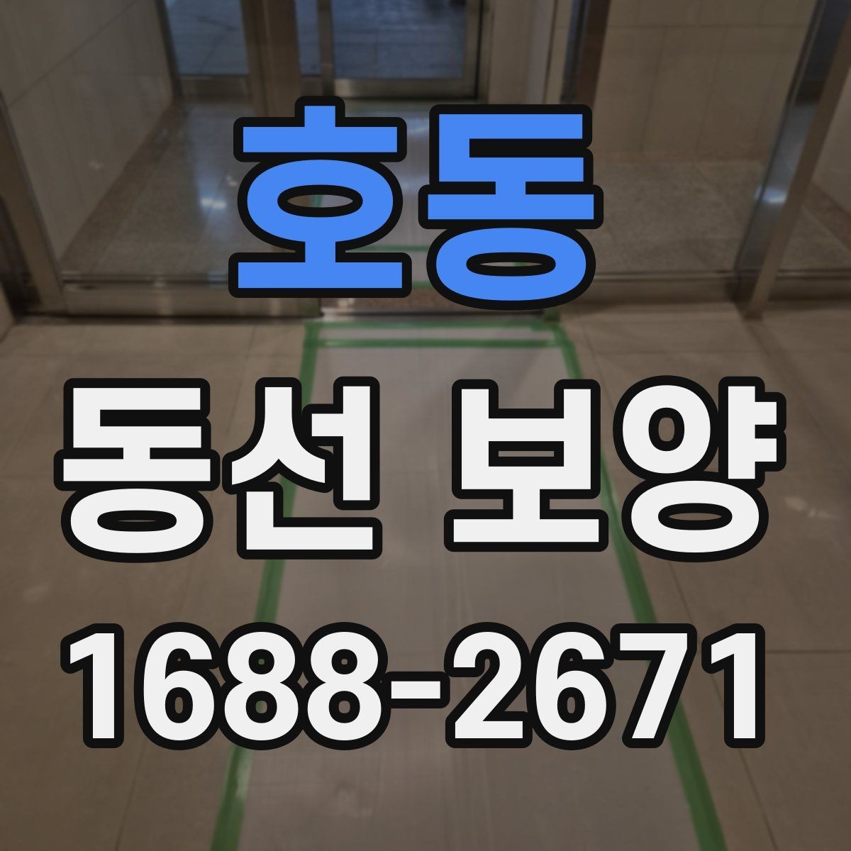 호동 동선 보양 현장 사진으로 보는 작업 단계