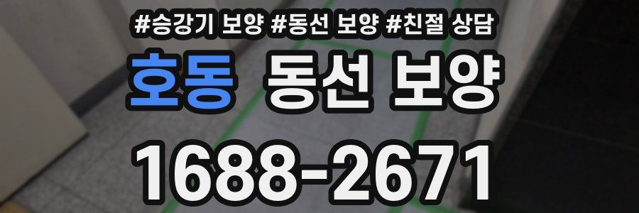 호동 동선 보양