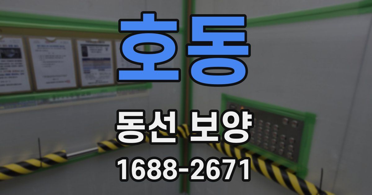호동 동선 보양