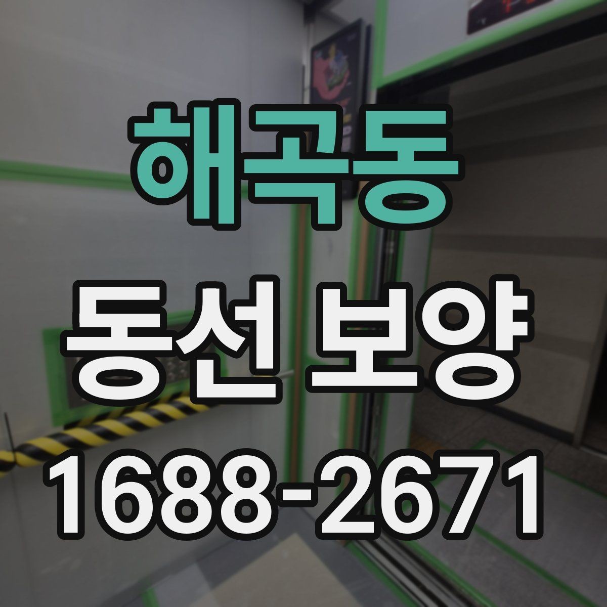 해곡동 동선 보양 시 먼지와 오염을 줄이는 방법