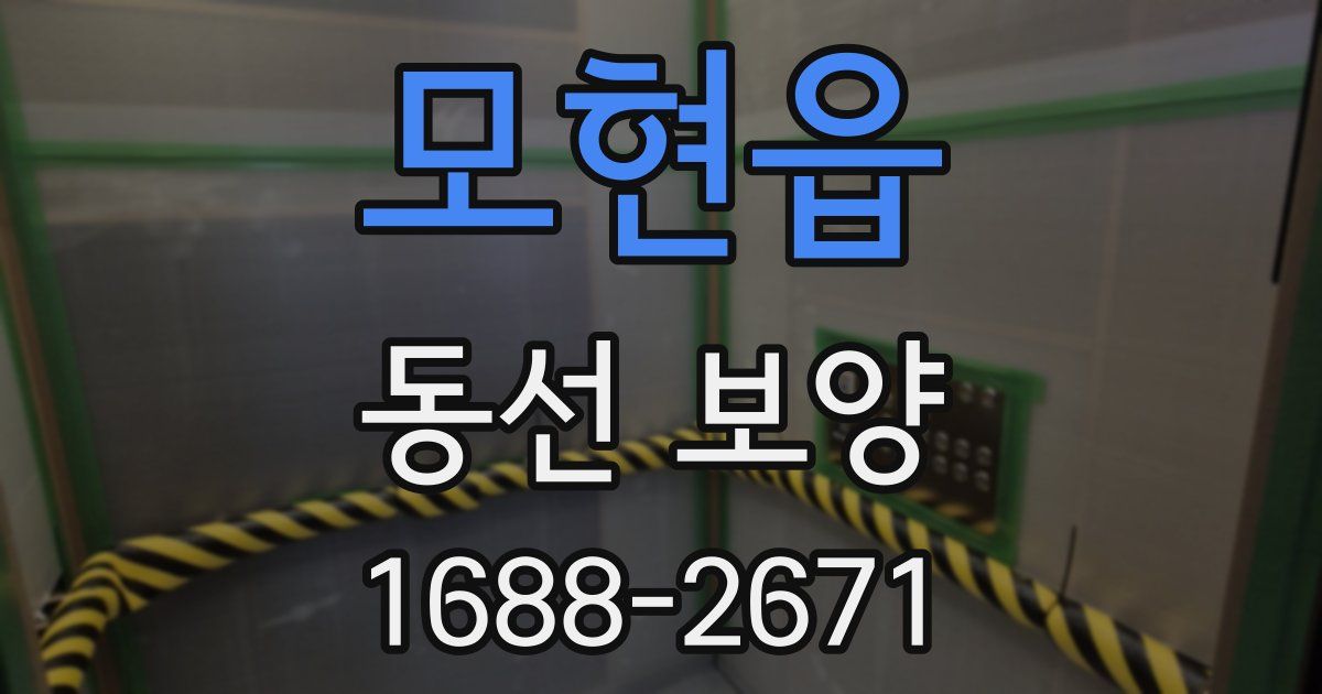 모현읍 동선 보양