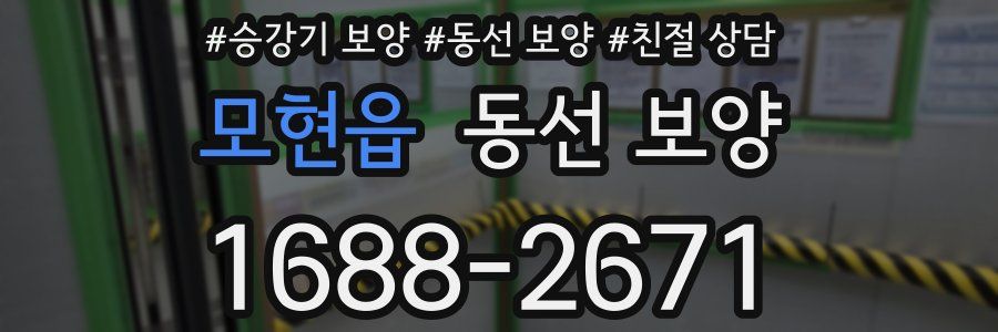 모현읍 동선 보양