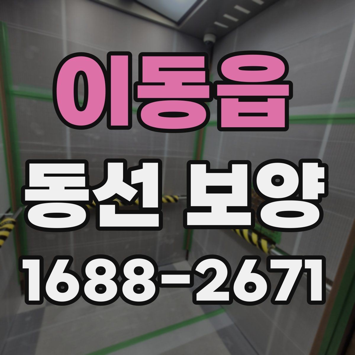 이동읍 동선 보양 후 정리까지 고려해야 하는 이유