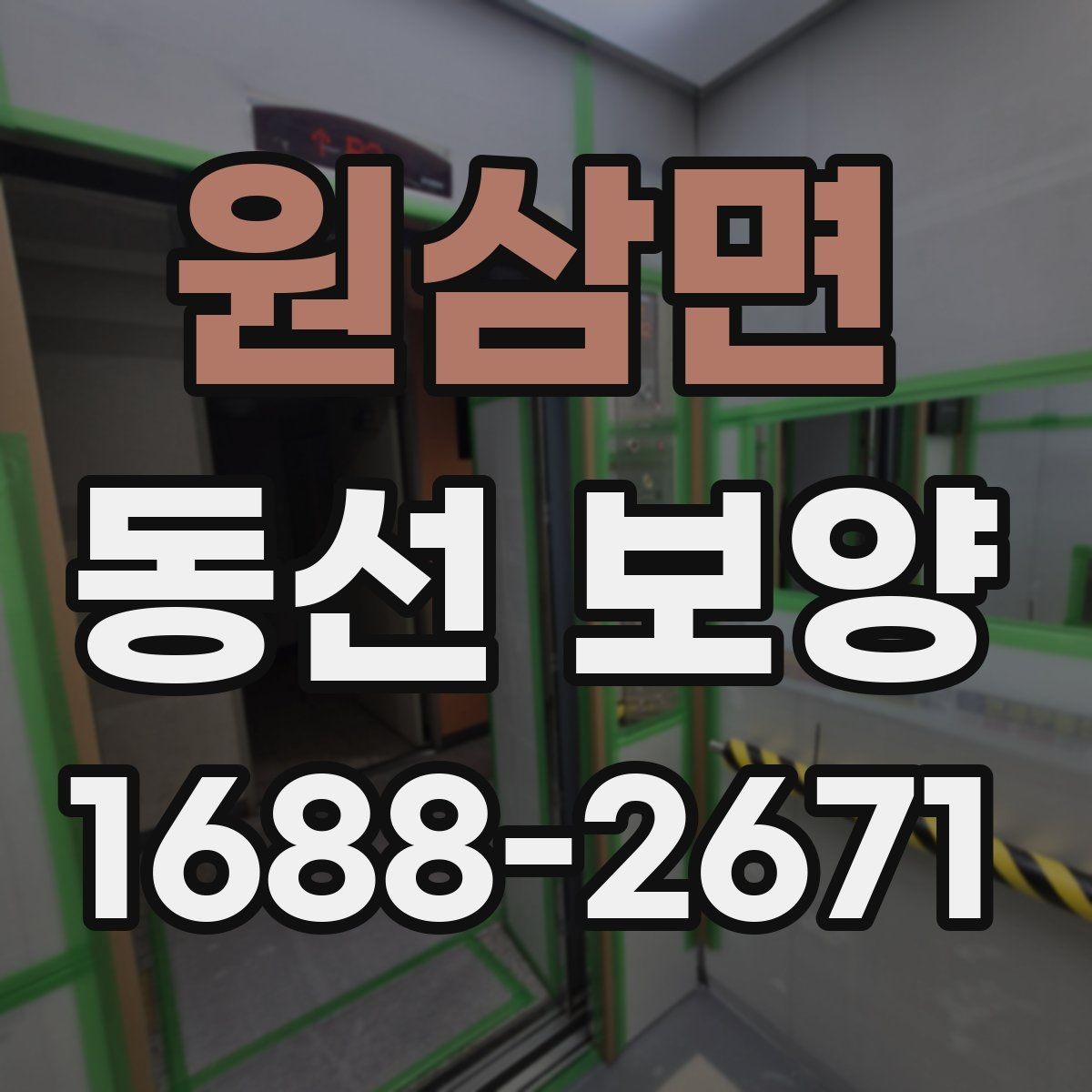 원삼면 동선 보양 비용을 절감할 때 주의할 점