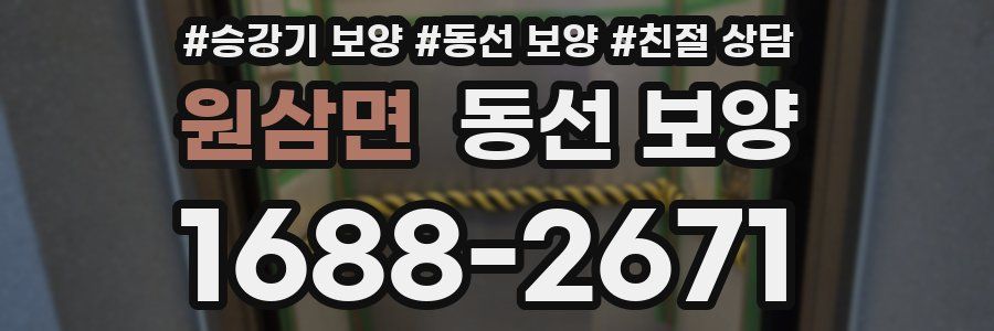 원삼면 동선 보양