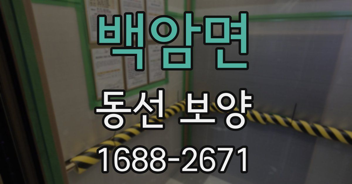 백암면 동선 보양