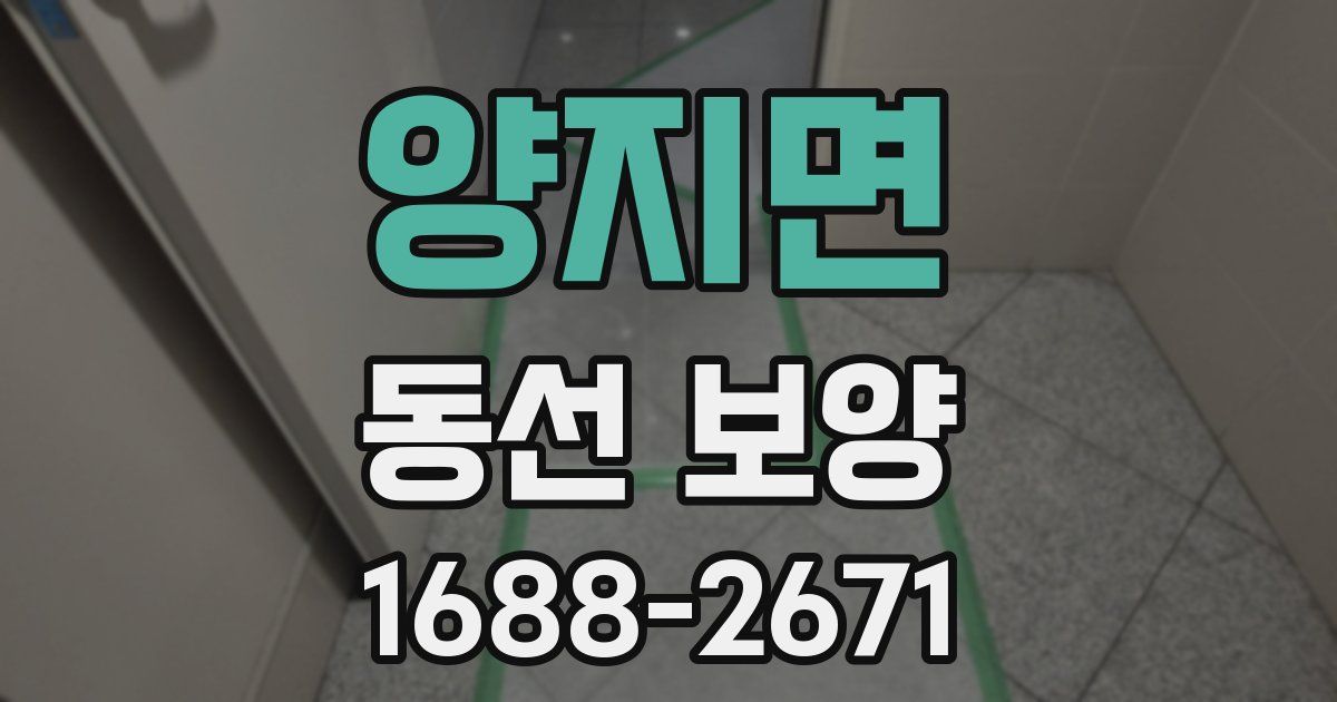 양지면 동선 보양