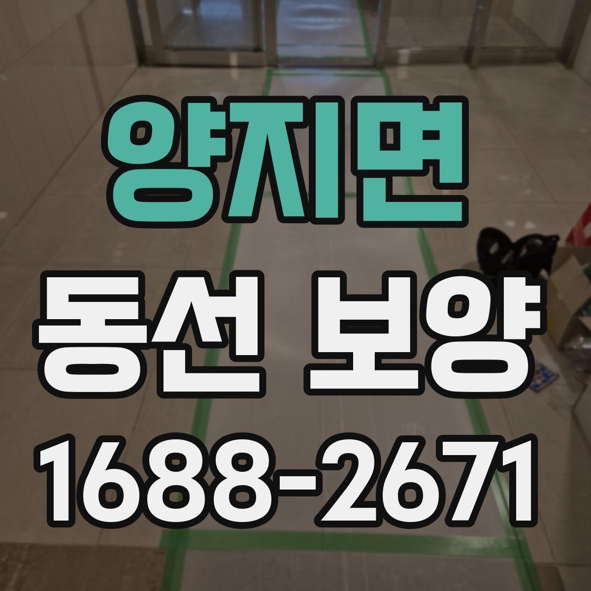 양지면 동선 보양