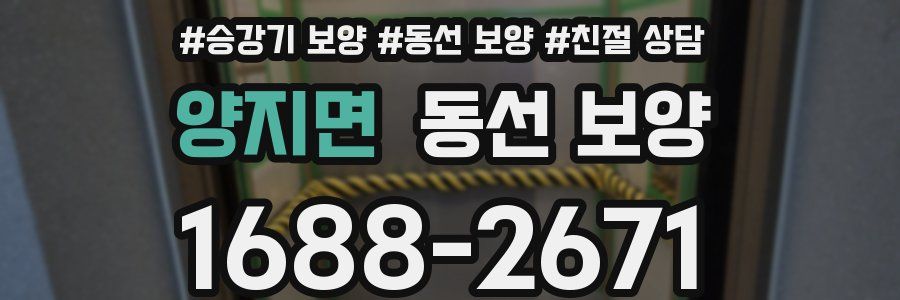 양지면 동선 보양