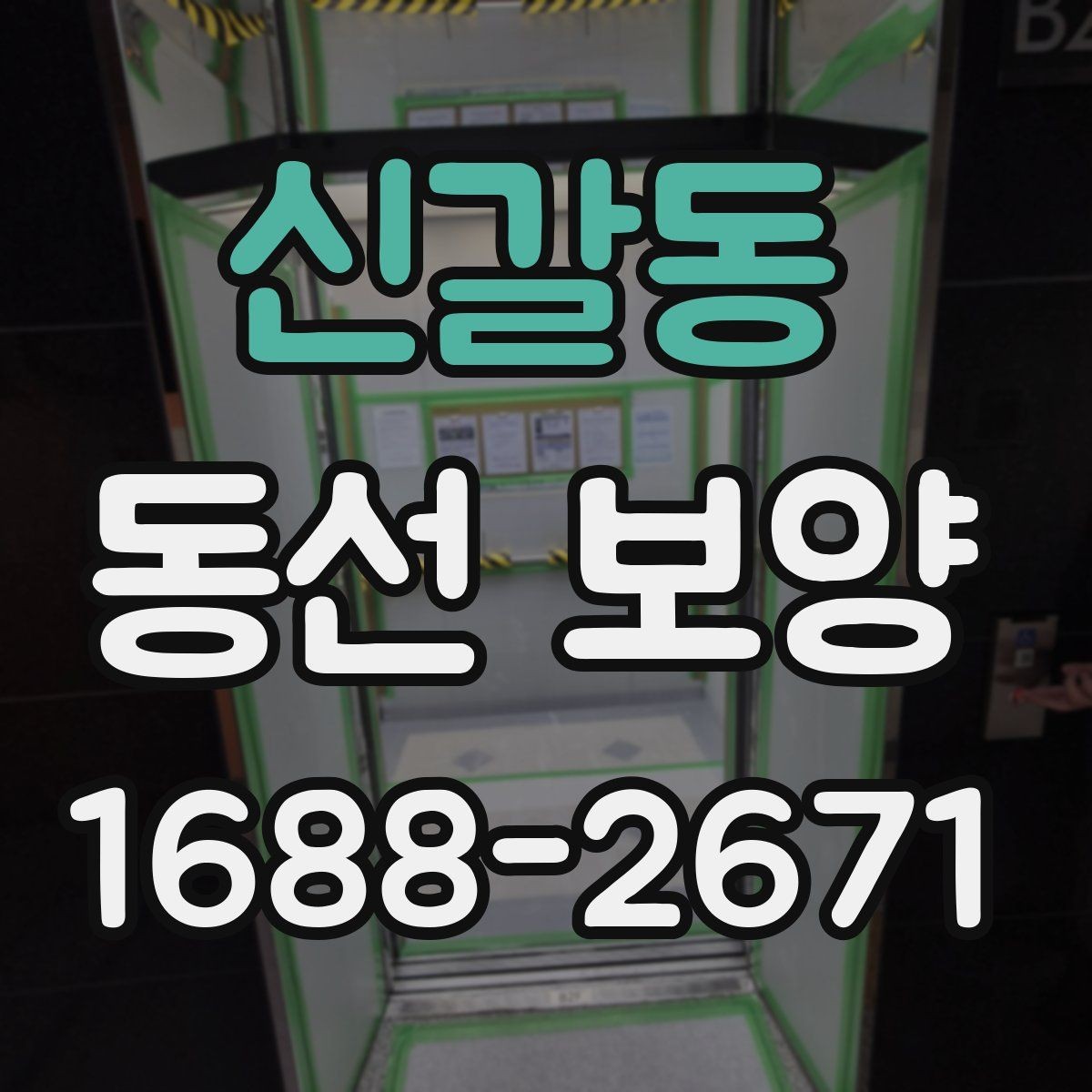 신갈동 동선 보양 작업 범위와 현장 조건을 함께 보는 이유