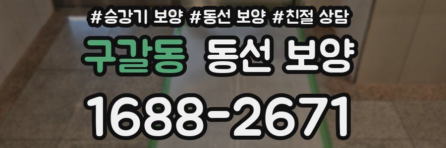 구갈동 동선 보양