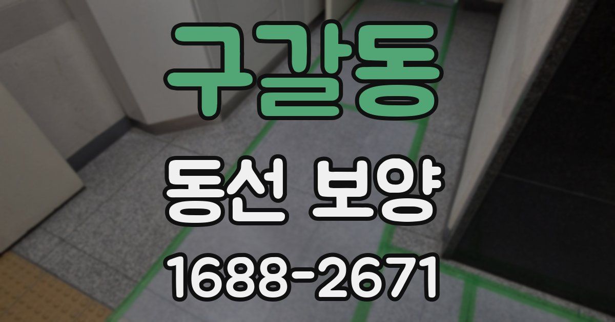 구갈동 동선 보양