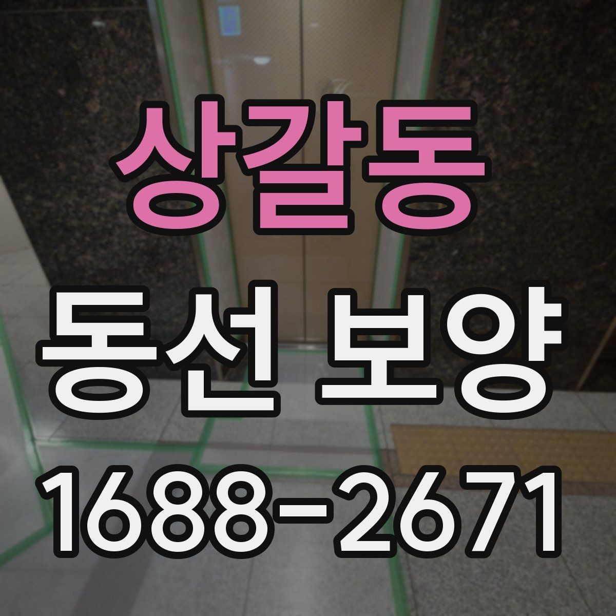 상갈동 동선 보양 시공 품질을 좌우하는 준비 단계
