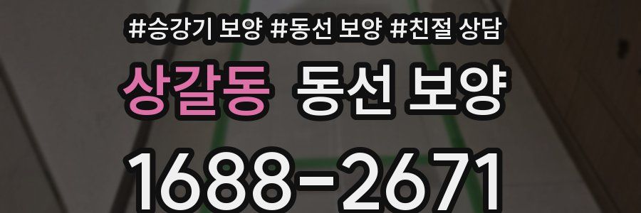 상갈동 동선 보양