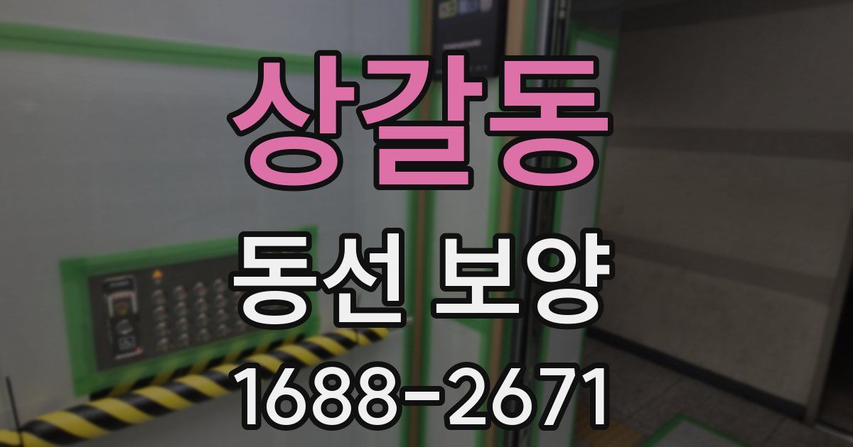 상갈동 동선 보양