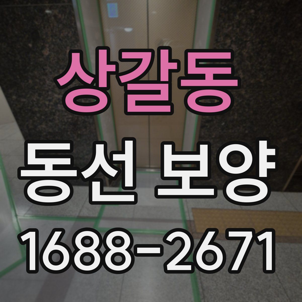 상갈동 동선 보양