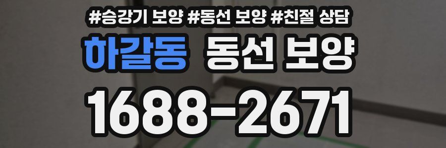 하갈동 동선 보양