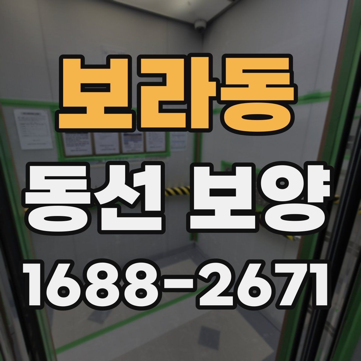 보라동 동선 보양 공정에서 자주 묻는 질문 정리
