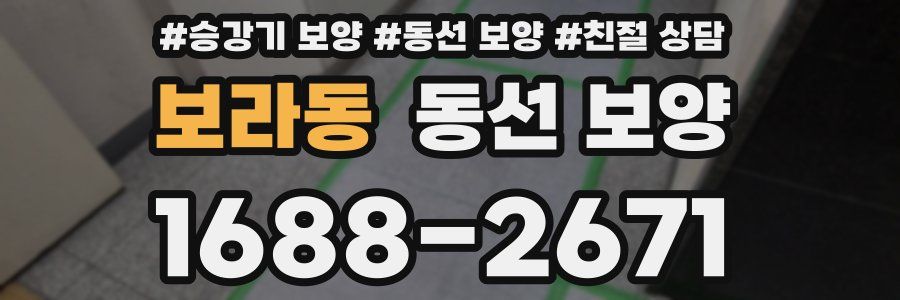 보라동 동선 보양