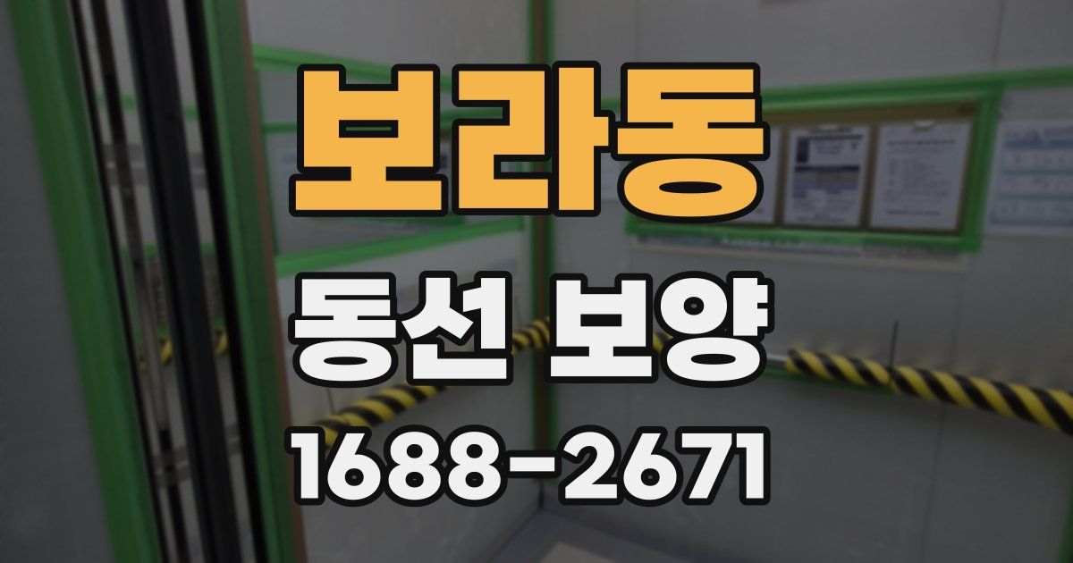 보라동 동선 보양