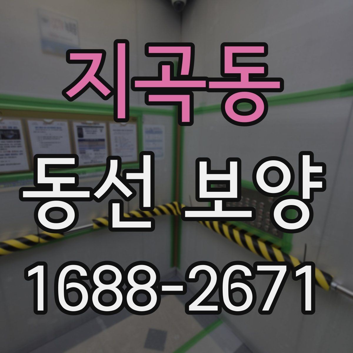 지곡동 동선 보양 작업 시간은 어떻게 정해질까