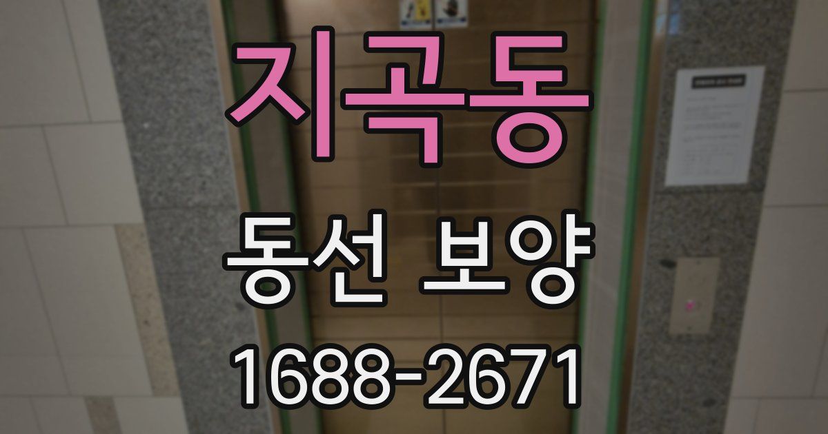 지곡동 동선 보양