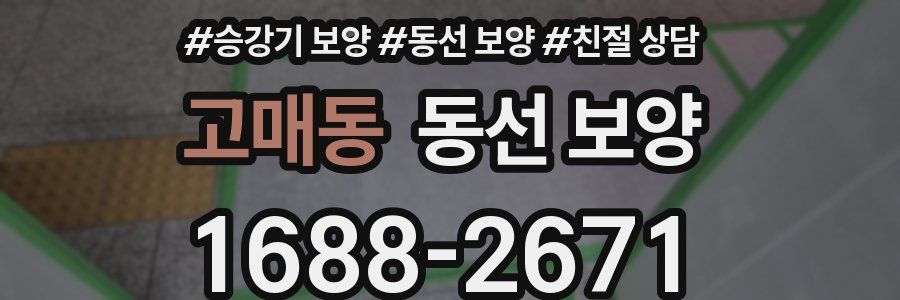 고매동 동선 보양