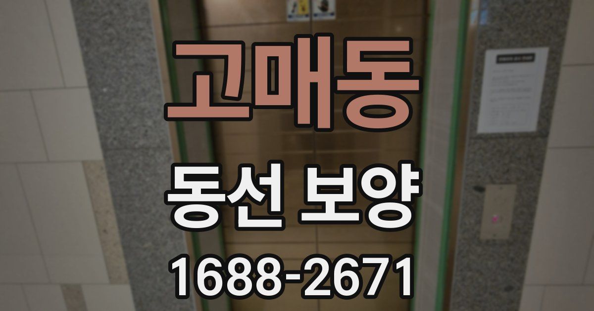 고매동 동선 보양