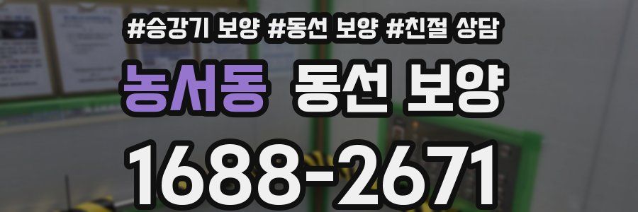 농서동 동선 보양