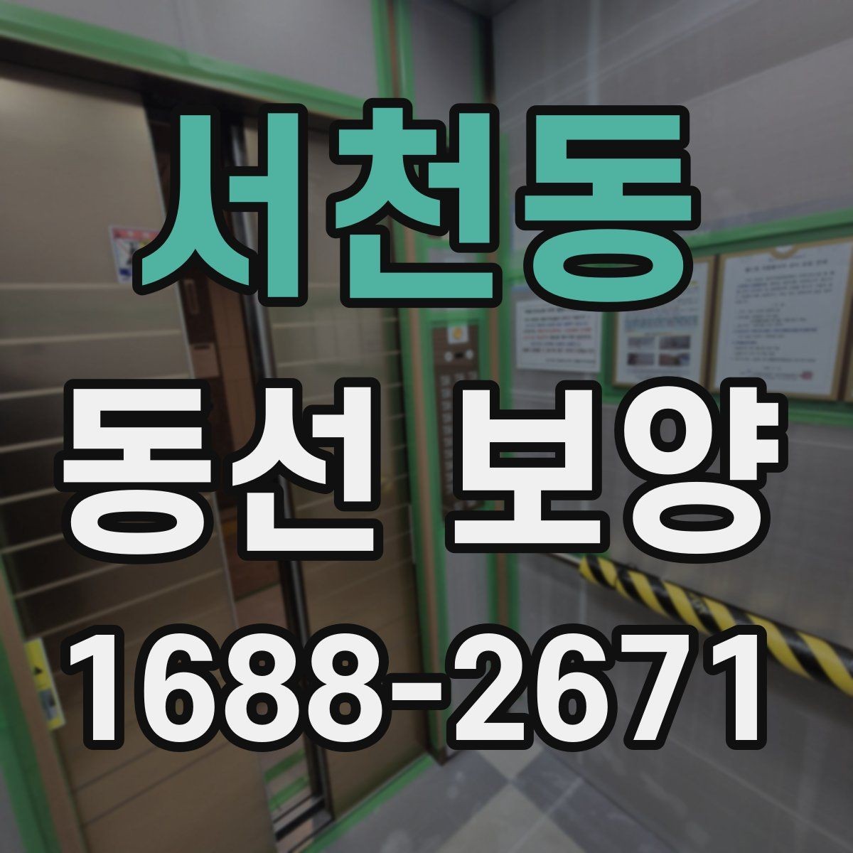 서천동 동선 보양 범위와 작업 흐름 알아보기