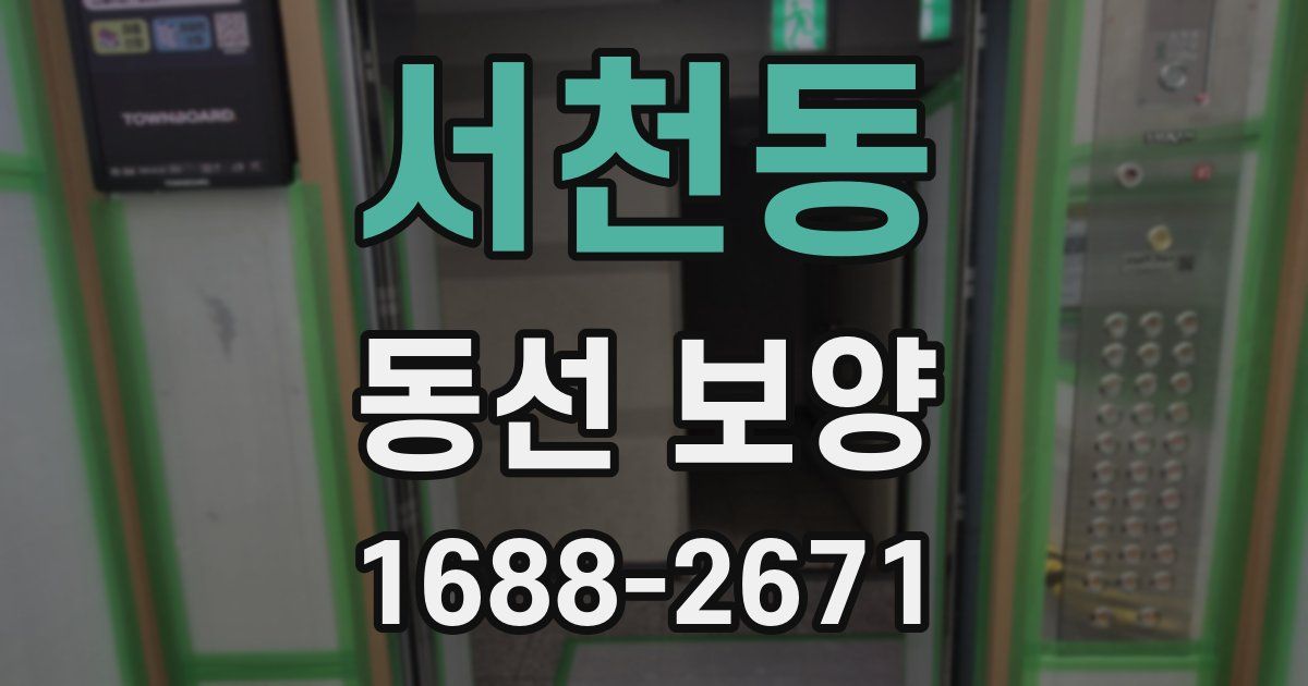 서천동 동선 보양