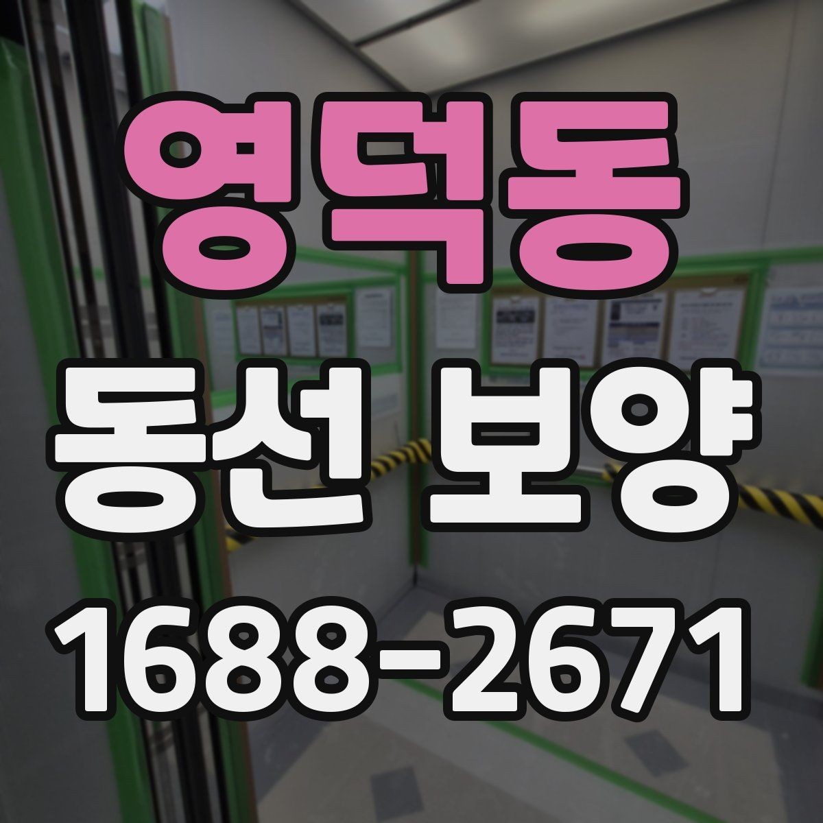 영덕동 동선 보양 시 흔히 놓치는 부분들