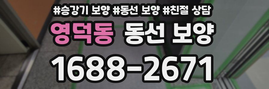 영덕동 동선 보양