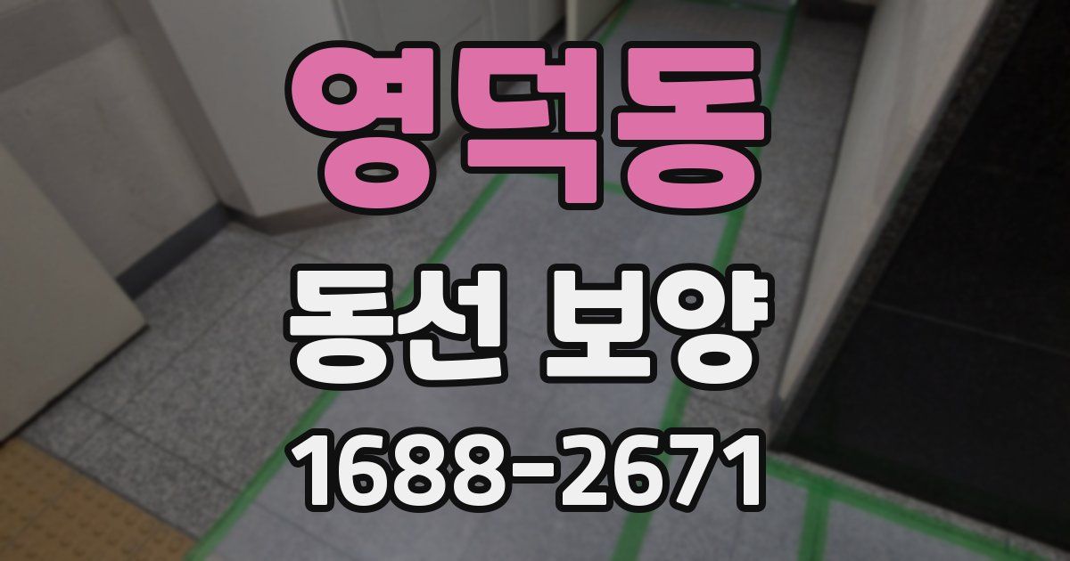영덕동 동선 보양