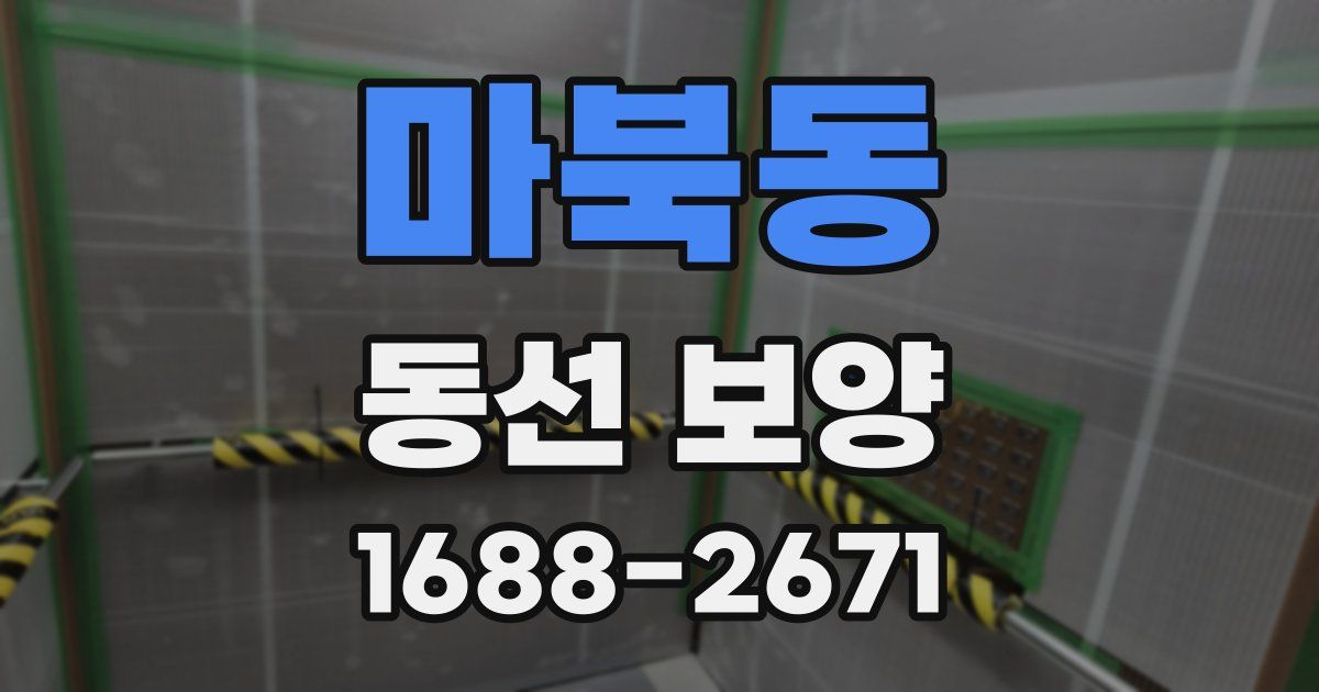 마북동 동선 보양