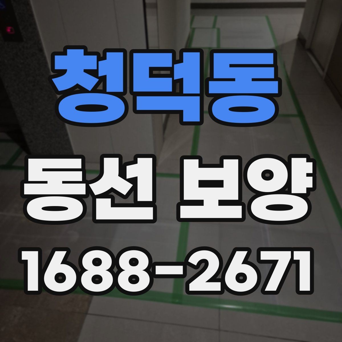 청덕동 동선 보양 작업 후 손상 예방을 위한 관리법
